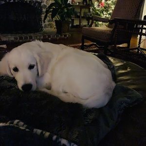 Meet your Posher, Jodi